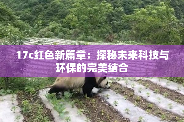 17c红色新篇章：探秘未来科技与环保的完美结合