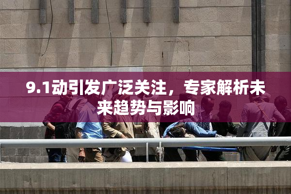 9.1动引发广泛关注，专家解析未来趋势与影响