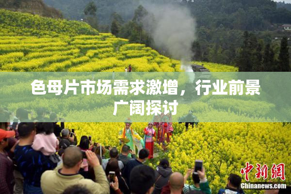 色母片市场需求激增，行业前景广阔探讨