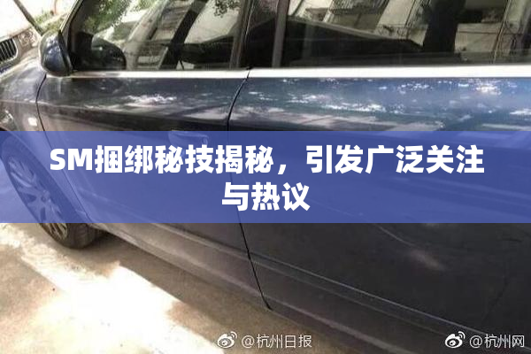 SM捆绑秘技揭秘，引发广泛关注与热议
