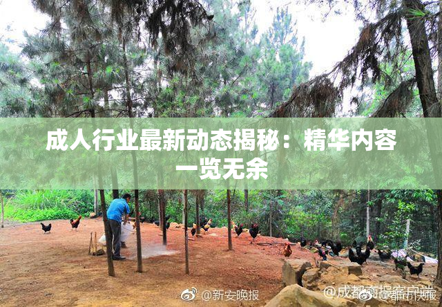 成人行业最新动态揭秘：精华内容一览无余