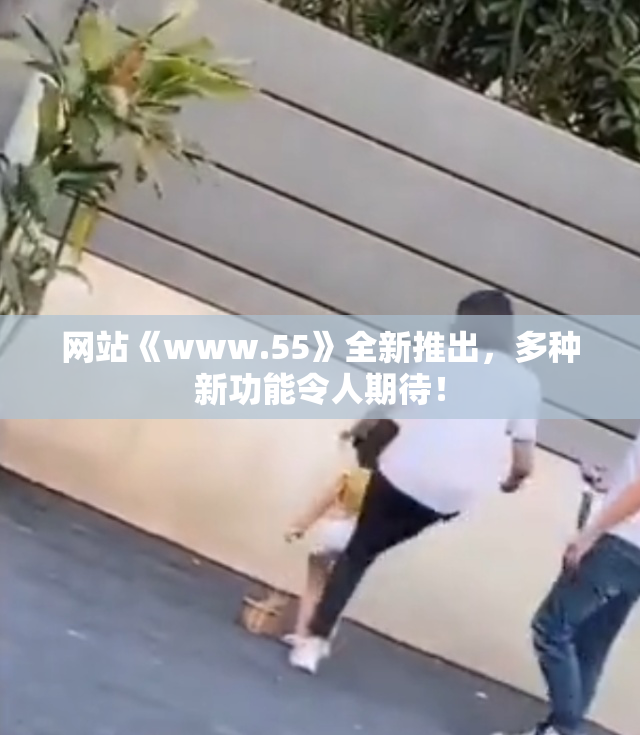 网站《www.55》全新推出，多种新功能令人期待！