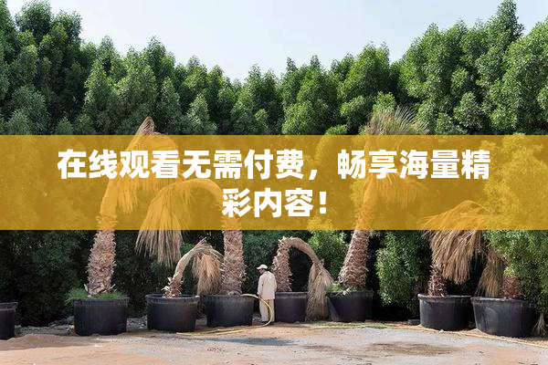 在线观看无需付费，畅享海量精彩内容！