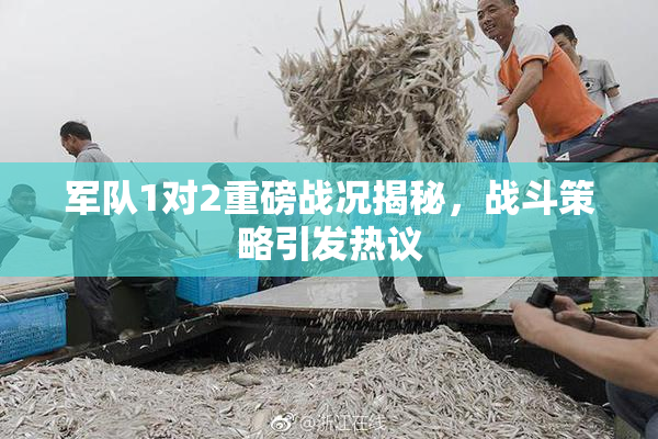 军队1对2重磅战况揭秘，战斗策略引发热议