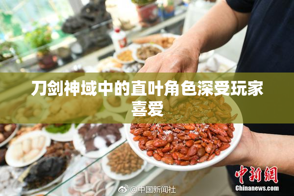 刀剑神域中的直叶角色深受玩家喜爱