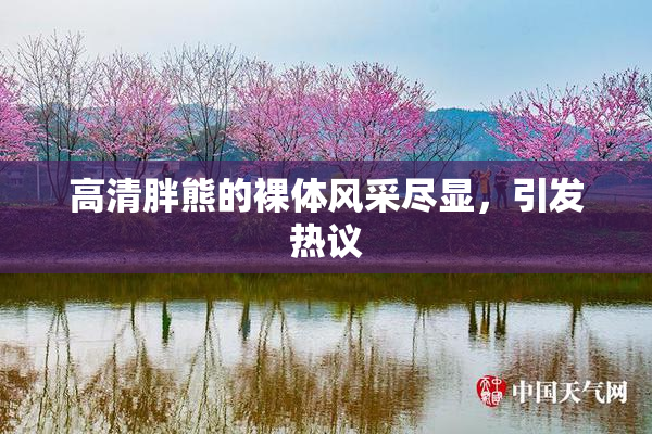 高清胖熊的裸体风采尽显，引发热议