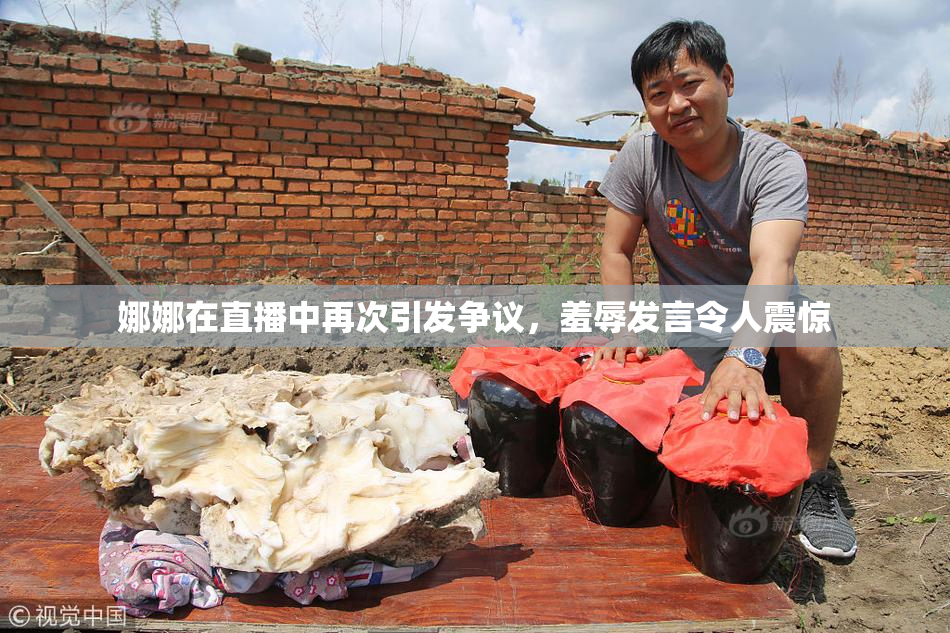 娜娜在直播中再次引发争议，羞辱发言令人震惊