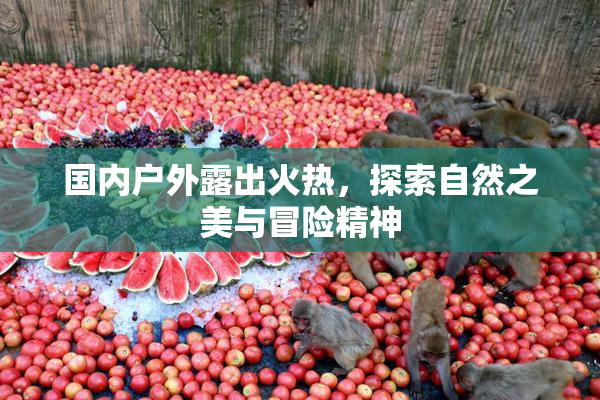 国内户外露出火热，探索自然之美与冒险精神