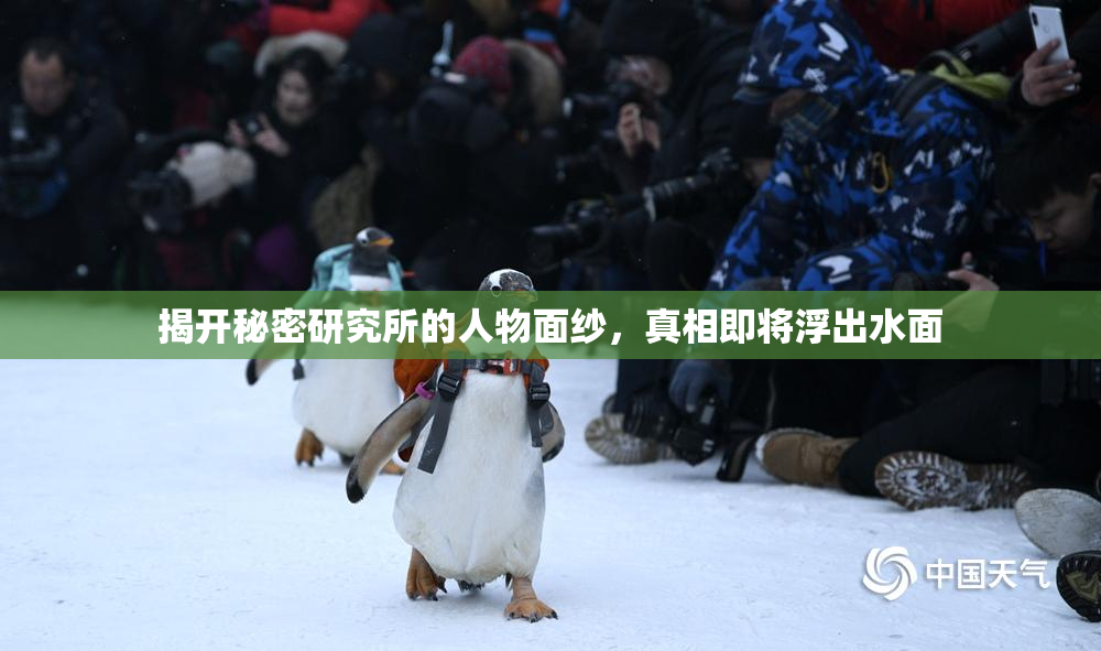 揭开秘密研究所的人物面纱，真相即将浮出水面