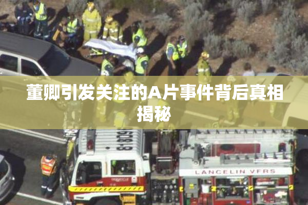 董卿引发关注的A片事件背后真相揭秘