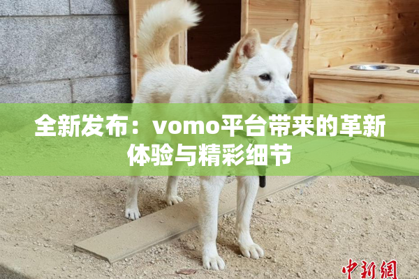 全新发布：vomo平台带来的革新体验与精彩细节
