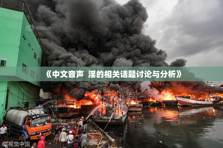 《中文音声  淫的相关话题讨论与分析》