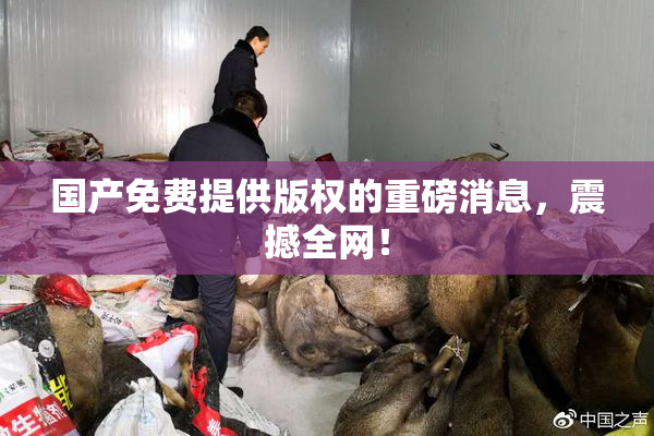 国产免费提供版权的重磅消息，震撼全网！
