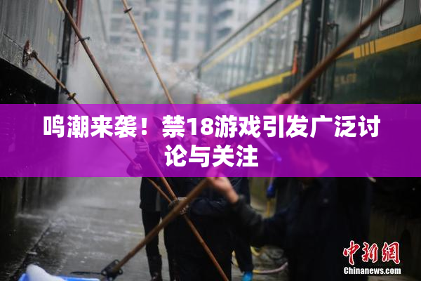鸣潮来袭！禁18游戏引发广泛讨论与关注