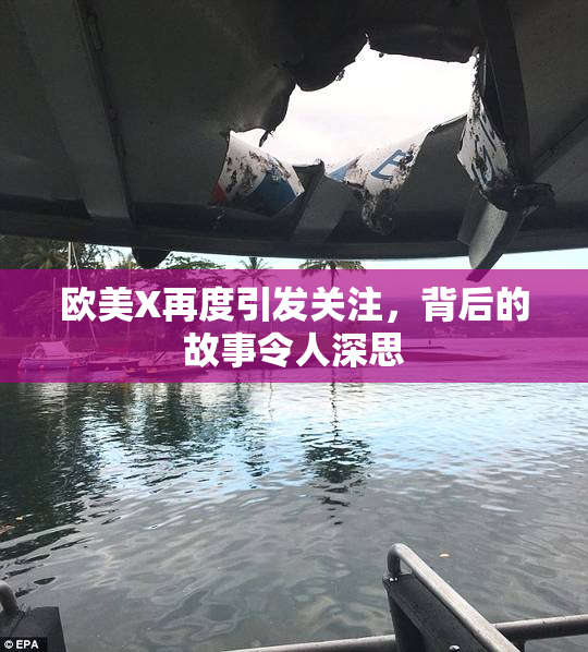 欧美X再度引发关注，背后的故事令人深思