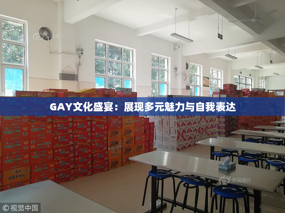GAY文化盛宴：展现多元魅力与自我表达