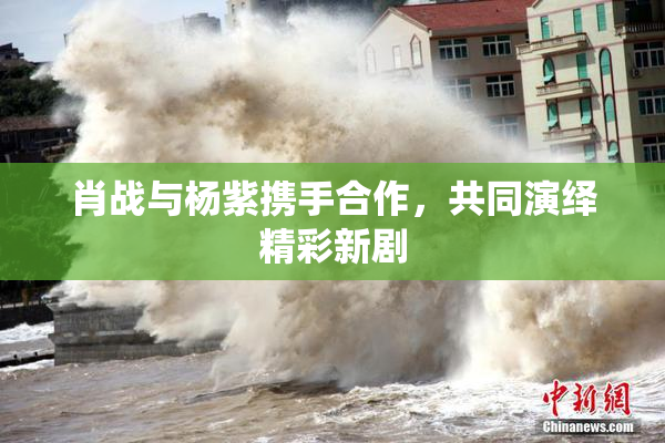 肖战与杨紫携手合作，共同演绎精彩新剧