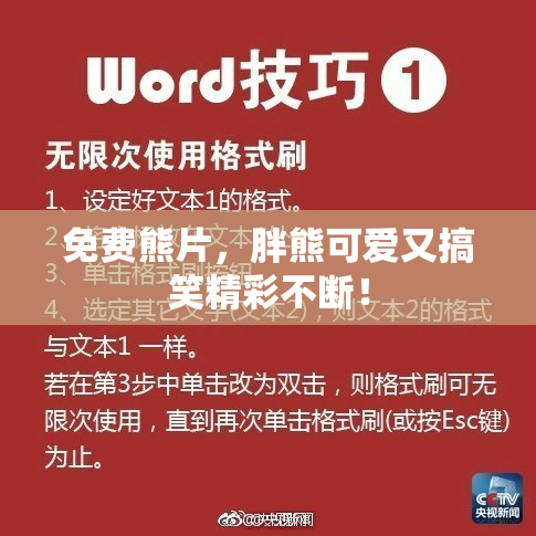 免费熊片，胖熊可爱又搞笑精彩不断！