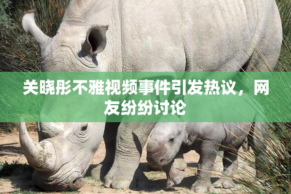 关晓彤不雅视频事件引发热议，网友纷纷讨论
