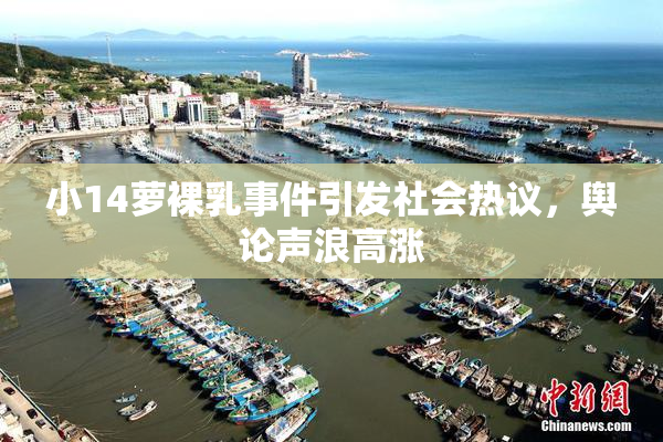 小14萝裸乳事件引发社会热议，舆论声浪高涨