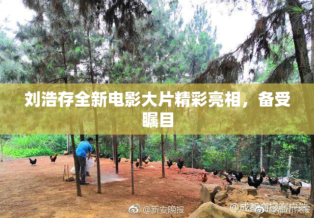 刘浩存全新电影大片精彩亮相，备受瞩目