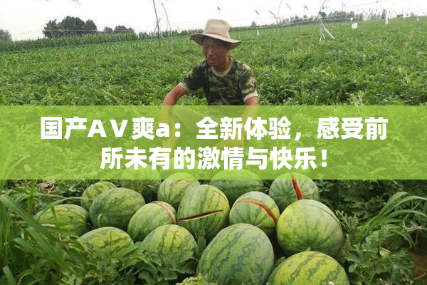 国产AⅤ爽a：全新体验，感受前所未有的激情与快乐！