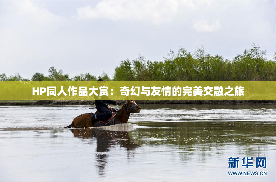 HP同人作品大赏：奇幻与友情的完美交融之旅
