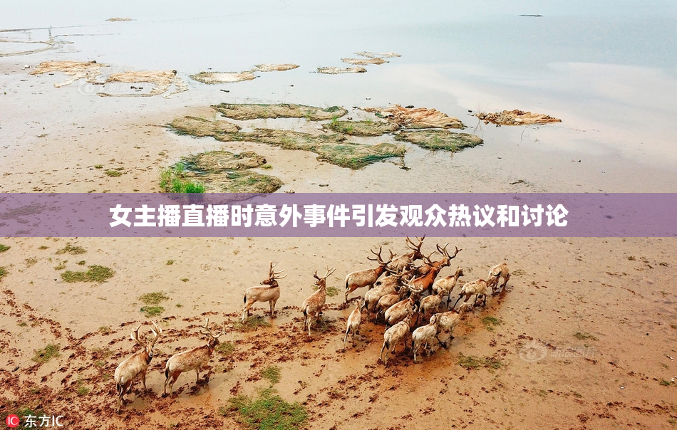 女主播直播时意外事件引发观众热议和讨论