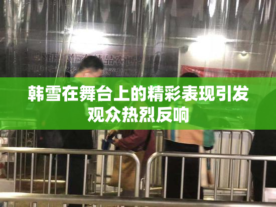 韩雪在舞台上的精彩表现引发观众热烈反响