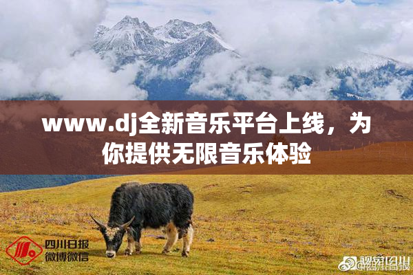 www.dj全新音乐平台上线，为你提供无限音乐体验