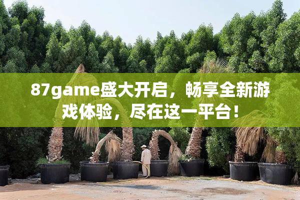 87game盛大开启，畅享全新游戏体验，尽在这一平台！