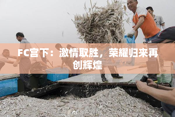 FC宫下：激情取胜，荣耀归来再创辉煌