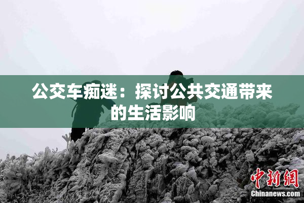 公交车痴迷：探讨公共交通带来的生活影响