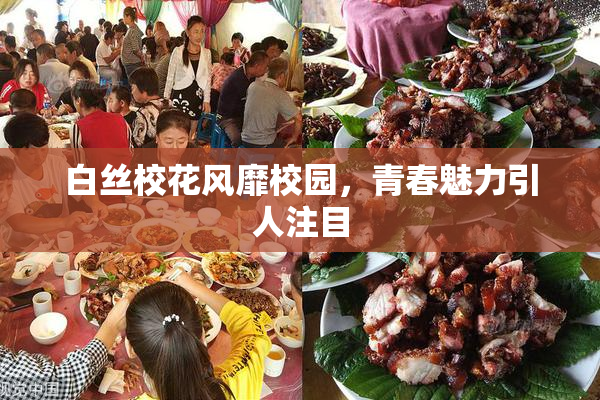 白丝校花风靡校园，青春魅力引人注目