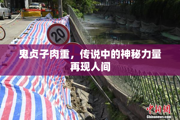 鬼贞子肉重，传说中的神秘力量再现人间