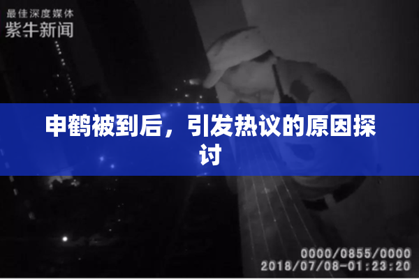 申鹤被到后，引发热议的原因探讨