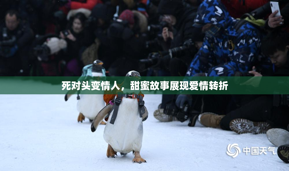 死对头变情人，甜蜜故事展现爱情转折