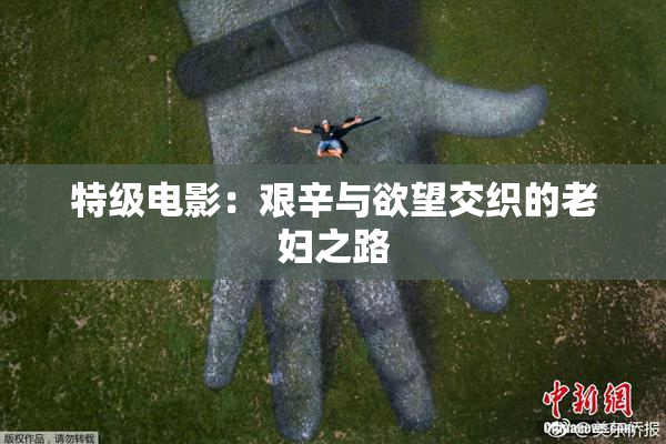 特级电影：艰辛与欲望交织的老妇之路