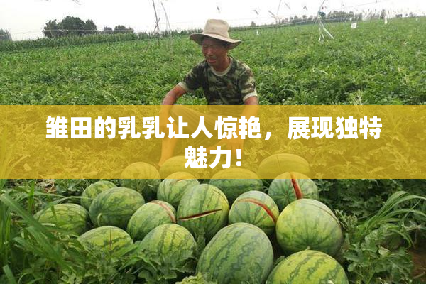 雏田的乳乳让人惊艳，展现独特魅力！