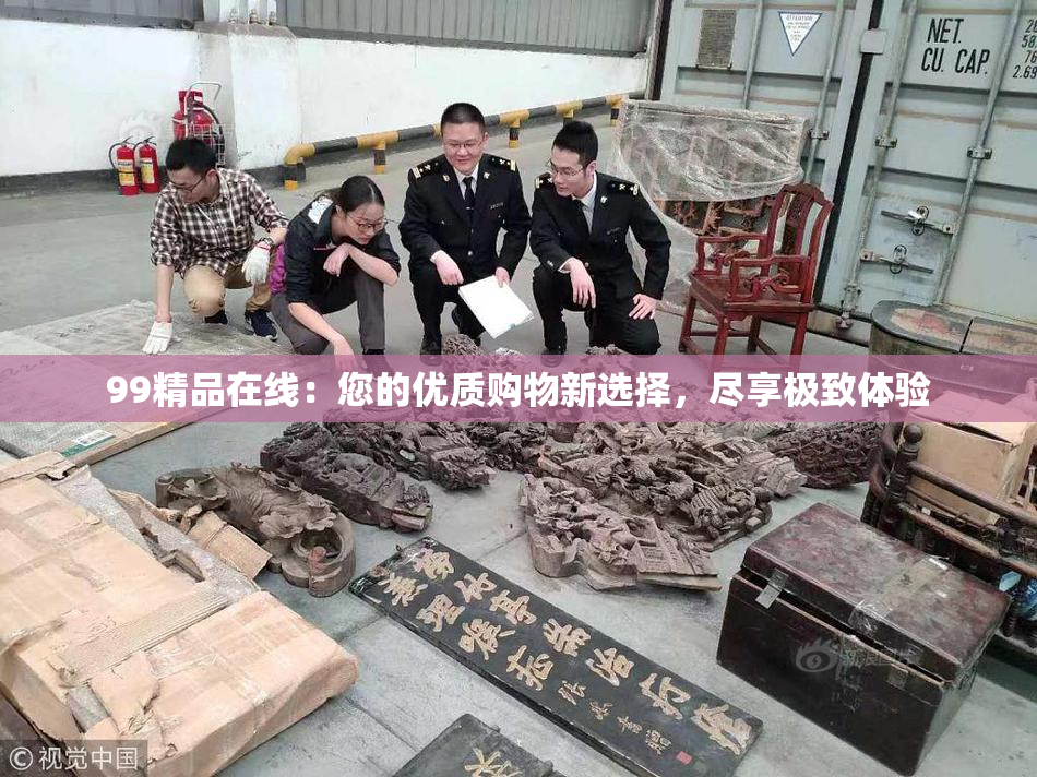 99精品在线：您的优质购物新选择，尽享极致体验