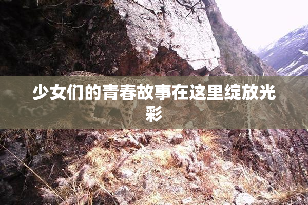 少女们的青春故事在这里绽放光彩