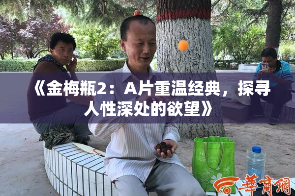 《金梅瓶2：A片重温经典，探寻人性深处的欲望》