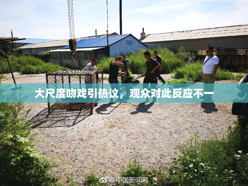 大尺度吻戏引热议，观众对此反应不一