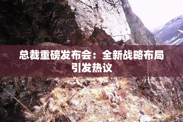总裁重磅发布会：全新战略布局引发热议