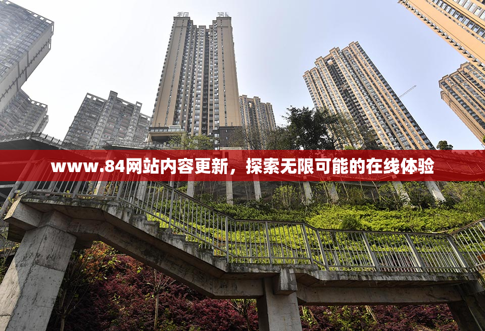www.84网站内容更新，探索无限可能的在线体验