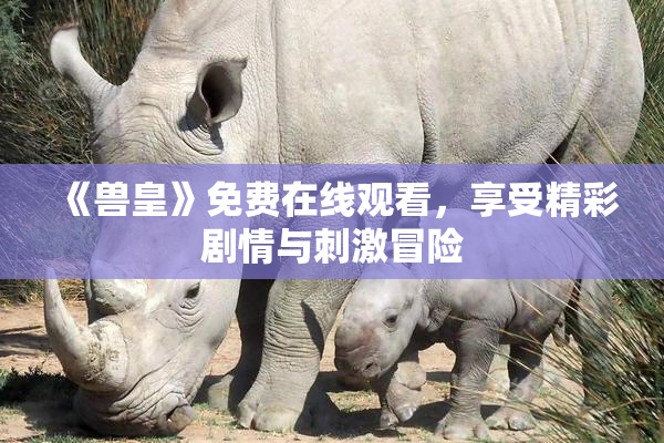 《兽皇》免费在线观看，享受精彩剧情与刺激冒险