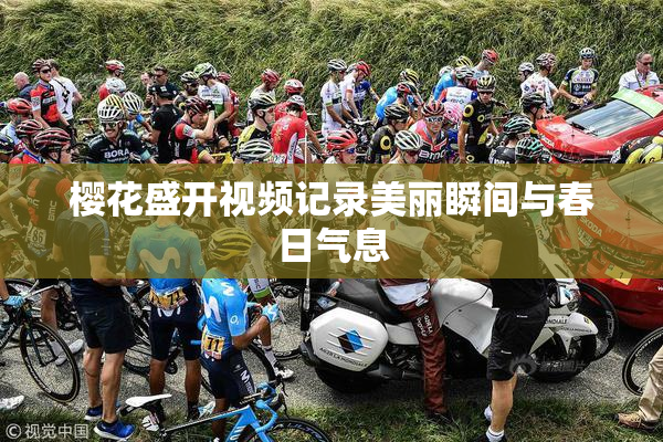樱花盛开视频记录美丽瞬间与春日气息