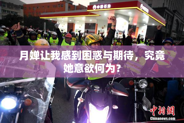 月婵让我感到困惑与期待，究竟她意欲何为？
