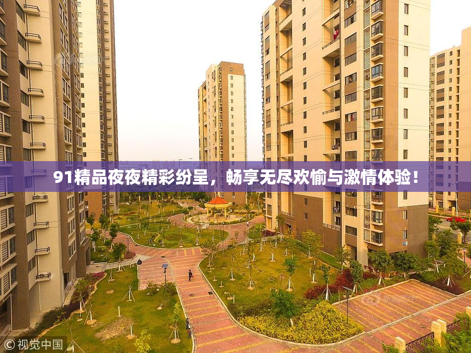 91精品夜夜精彩纷呈，畅享无尽欢愉与激情体验！