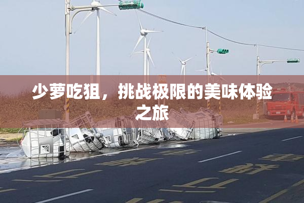 少萝吃狙，挑战极限的美味体验之旅
